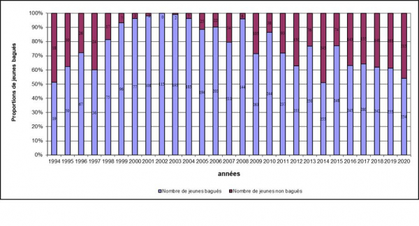 Proportion de jeunes bagués en Crau 1994-2020