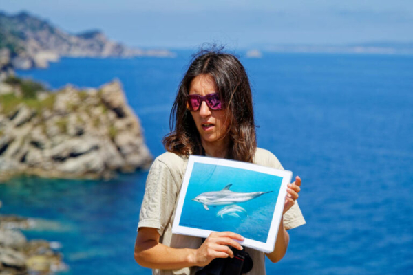 Une sortie naturaliste sur l'&Icirc;le de Porquerolles &copy; Groupe local LPO Hy&egrave;res Les Maures