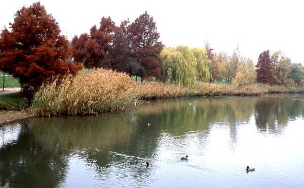 Lac de Créteil