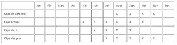 Calendrier pousse des cèpes