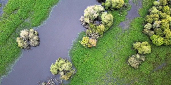 Marais de Mazerolles : eau libre, v&eacute;g&eacute;tation aquatique et boisements humides