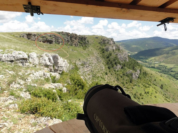 Vire de lâcher des jeunes gypaètes barbus dans les Grands Causses, en Lozère