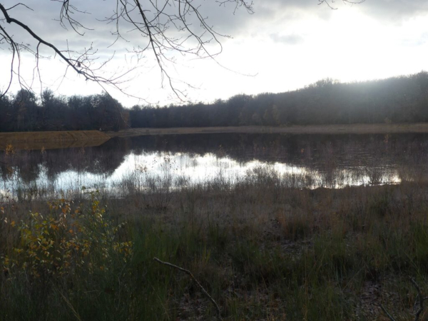 Etang du Grand Albert en eau – Jean-Marc Taupiac