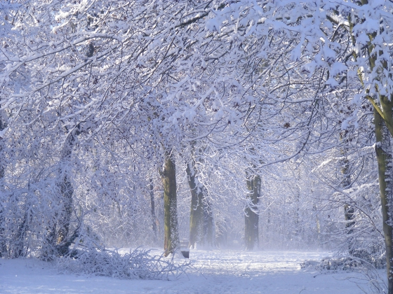 Le parc forestier de la Poudrerie sous la neige