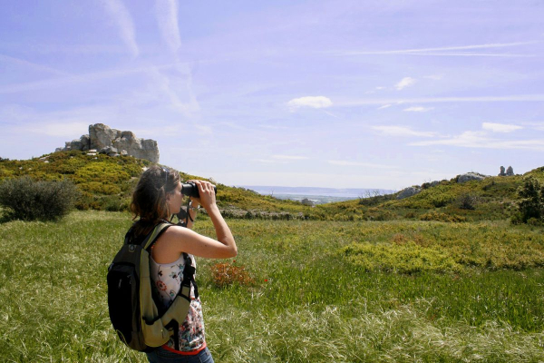 Suivi naturaliste dans les Garrigues de Lan&ccedil;on &copy; LPO PACA