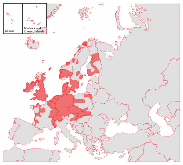 Carte Grande Berce