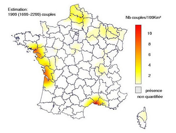 Busard des roseaux (Thiollay & Bretagnolle, 2004 - Rapaces nicheurs de France, distribution, effectifs et conservation ; Ed. Delachaux & Niestlé)
