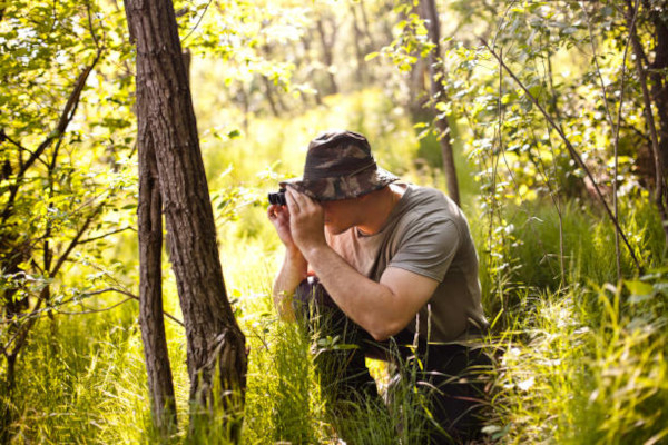 Birdwatching en forêt / istockphoto