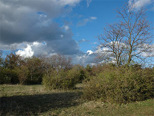 Colline du Hohliesel