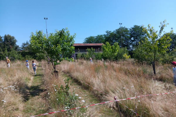 Diagnostic &eacute;cologique avec les &eacute;l&egrave;ves en juin 2025 &copy; Verger et Biodiversit&eacute;