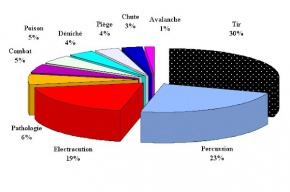 Figure. C. Couloumy – Représentation des causes de la mortalité (janvier 1975 à janvier 2010) de l’Aigle royal (n=169/242)