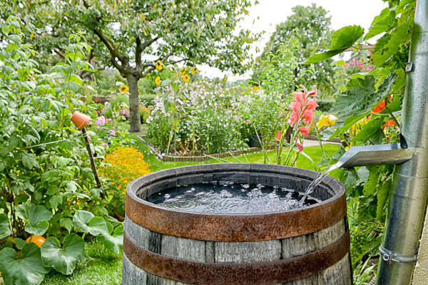 Citerne de r&eacute;cup&eacute;ration d'eau de pluie
