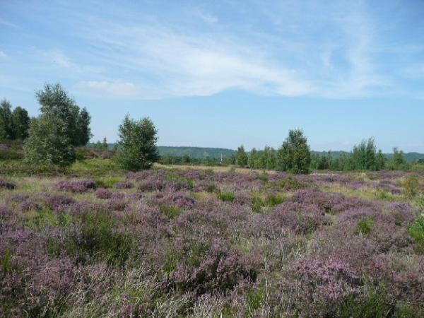 Boucle de Moisson