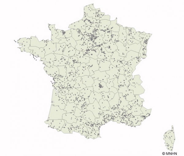 Carte de répartition de l'Escargot des haies en France