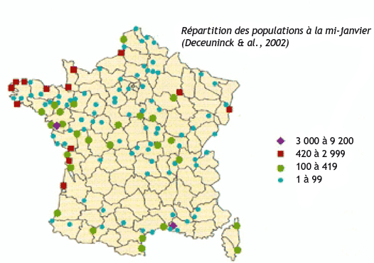 Carte répartition canard siffleur