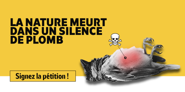 La nature meurt dans un silence de plomb.