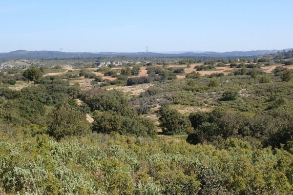 Travaux DFCI des Garrigues de Lan&ccedil;on &copy; Olivier Hameau