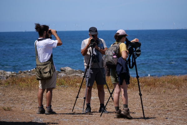 Prospection et sensibilisation sur l’Ile du Pilier