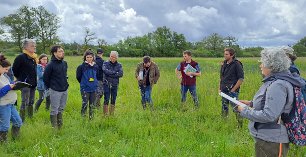 Le jury étudie la prairie pour la juger au concours.