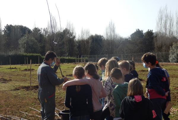 Plantation du verger en f&eacute;vrier 2022 avec les &eacute;l&egrave;ves &copy; Verger et Biodiversit&eacute;