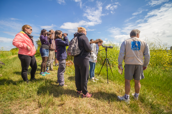 Groupe de personnes en observation dans la nature