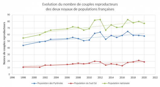 Evolution du nombre de couples reproducteurs des deux noyaux de populations françaises