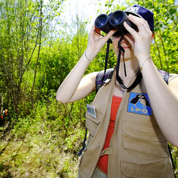 Observation d'oiseaux &copy; J. Cabanel / LPO PACA