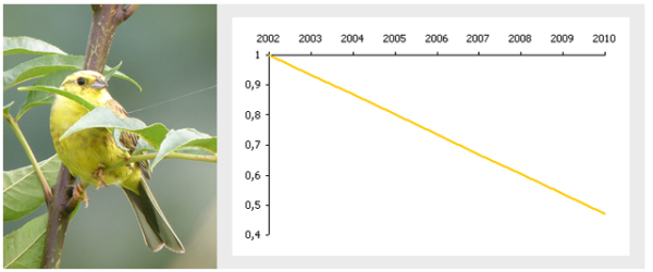 Bruant jaune et son &eacute;volution en &Icirc;le-de-France d'apr&egrave;s les donn&eacute;es Oroc
