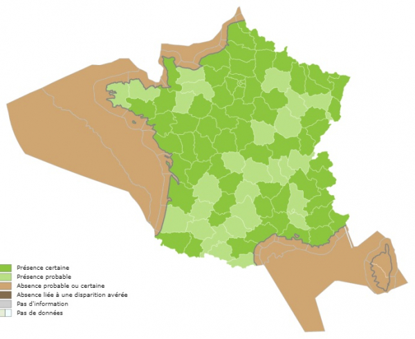 Répartition actuelle en France métropolitaine