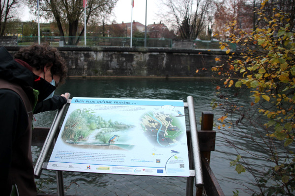 Panneau biodiversité du Parc des Eaux Vives © Ville de Huningue