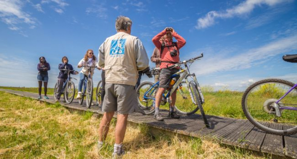 Promenade à vélo