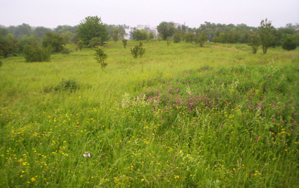 Le parc d&eacute;partemental du Sausset