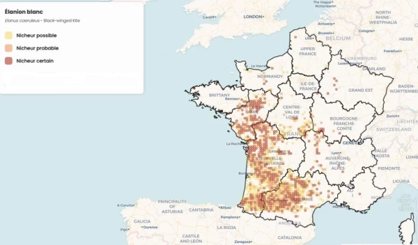 Carte de France : occupation de l'Elanion blanc
