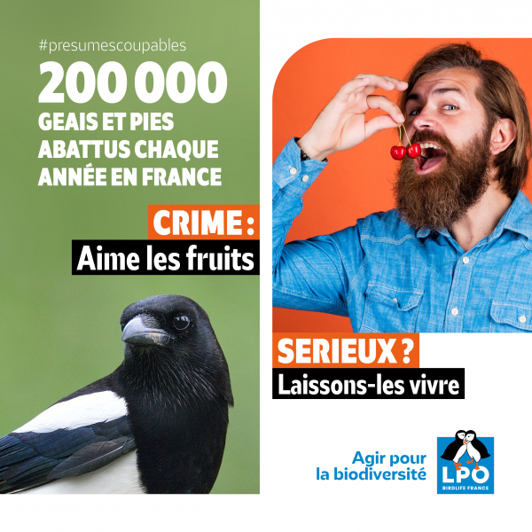 CAMPAGNE ESOD VISUEL5(1)(1)