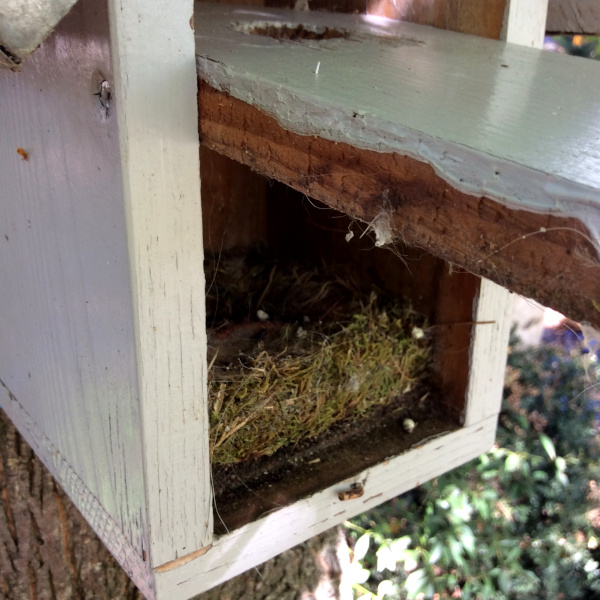 Le nichoir peut être ouvert en automne afin de retirer le vieux nid, ici un nid de mésange charbonnière © Nicolas Macaire