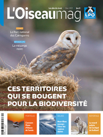 couverture du dernier OISEAU MAG