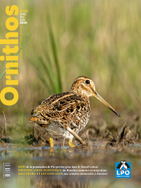 couverture ornithos