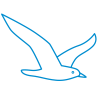 oiseau