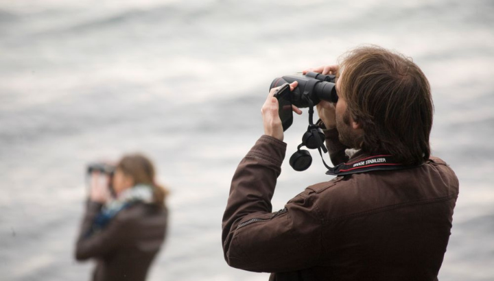 Comptages Etang de Berre - François GRIMAL