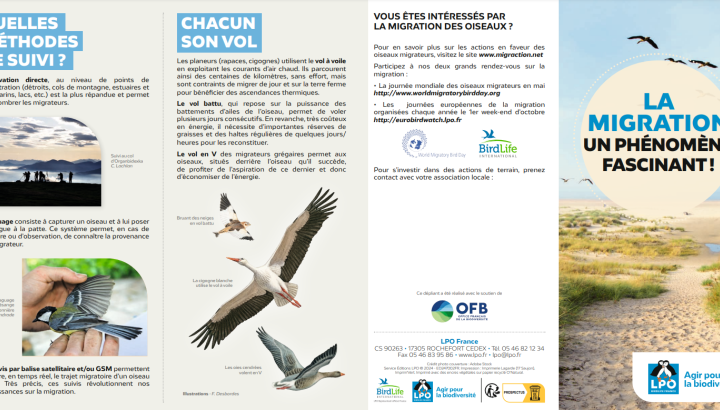 depliant EuroBirdWatch