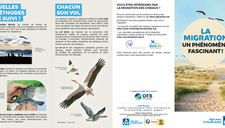 depliant EuroBirdWatch