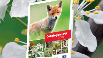 Couverture du catalogue 2023 de la Boutique LPO