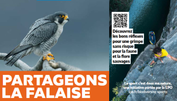 Dépliant "La falaise : un milieu unique mais sensible"