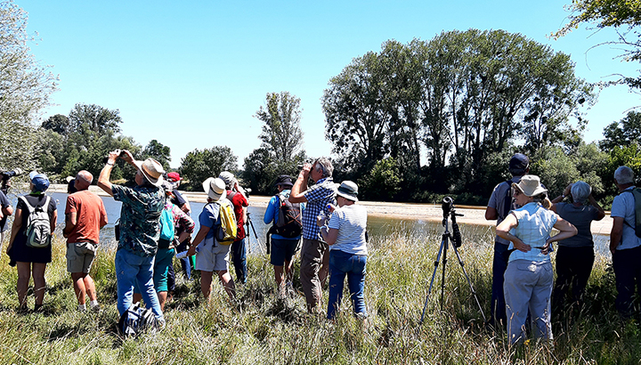 Observation en bord d'Allier © Dominique Brisset