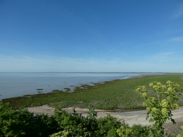 Vue depuis la Pointe Saint Clément sur la baie