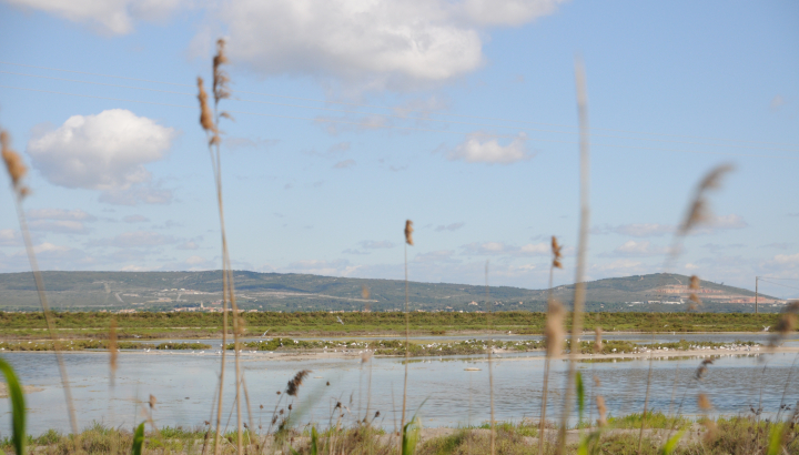 Salines de Villeneuve-lès-Maguelonne