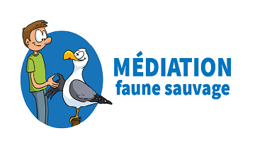 Illustration "Médiation faune sauvage"