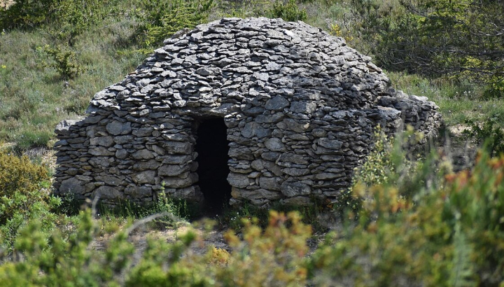 Forêt communale de Conques-sur-Orbiel