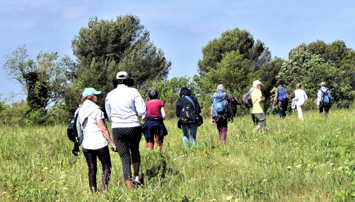 groupe de personnes marchant en file indienne dans la nature