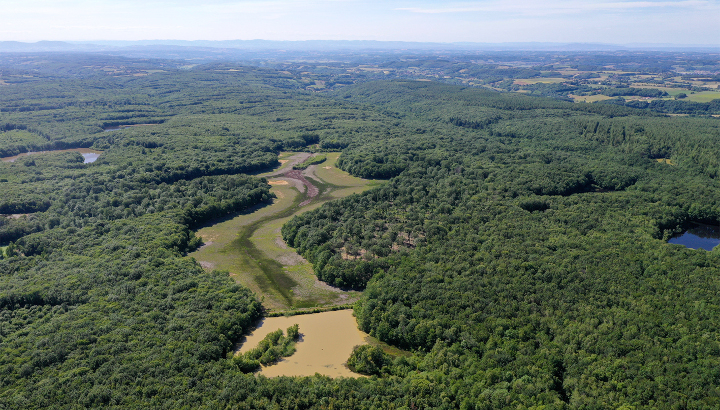 Étang du Grand Albert, asséché depuis la rupture de sa digue